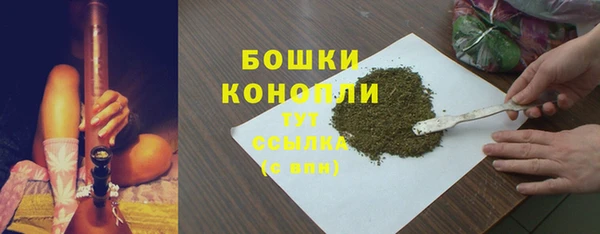 PSILOCYBIN Алексеевка