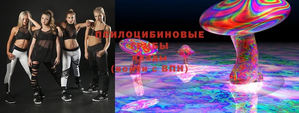 spice Алексин