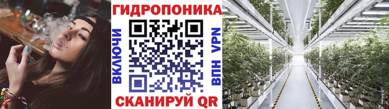Конопля LSD WEED  ОМГ ОМГ зеркало  Пугачёв 